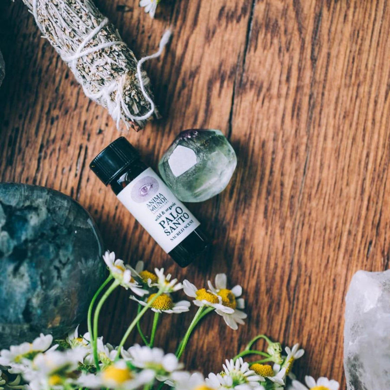 Palo Santo Oil