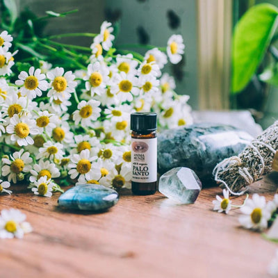 Palo Santo Oil