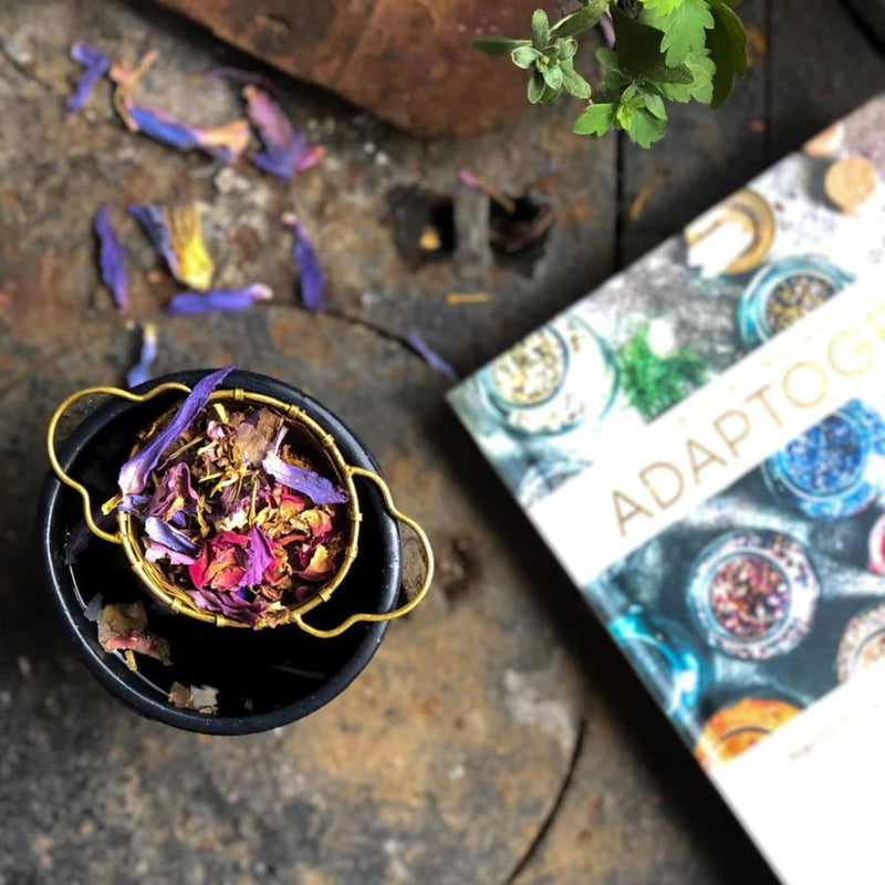 Adaptogens Book