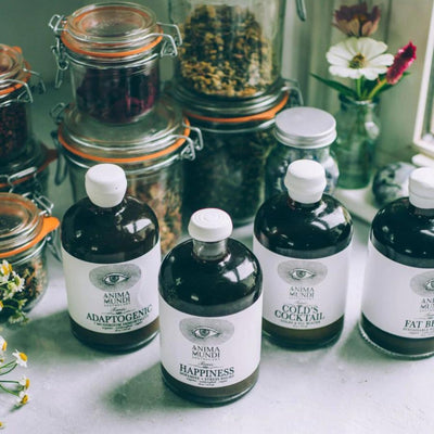 Master Tonic Kit - Barista Series