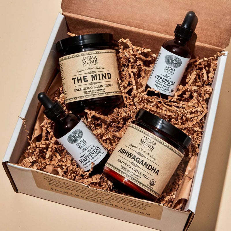 Brain Kit