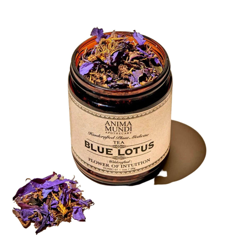 Blue Lotus