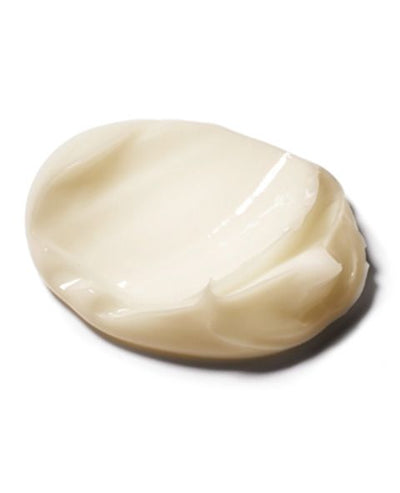 Ageless Perfection Cream